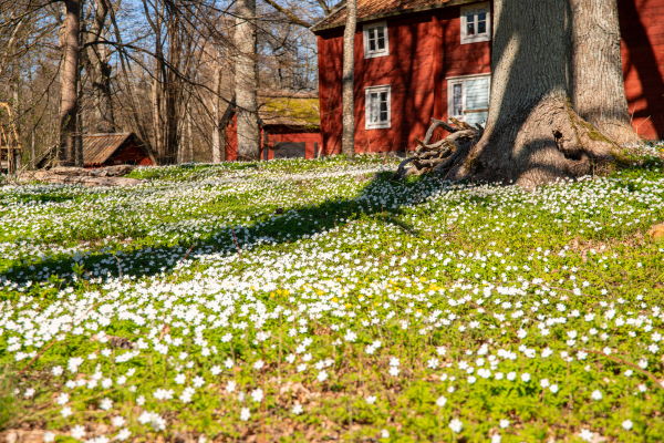 evenemang