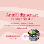 bildspel